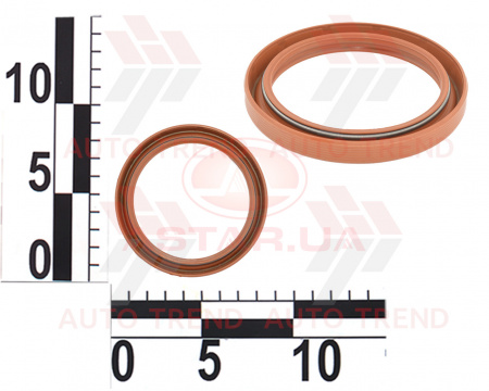 Сальник вала коленчатого ВАЗ 2101, 2102, 2103, 2104, 2105, 2106, 2107 зад. обрезиненный (70х90х10)