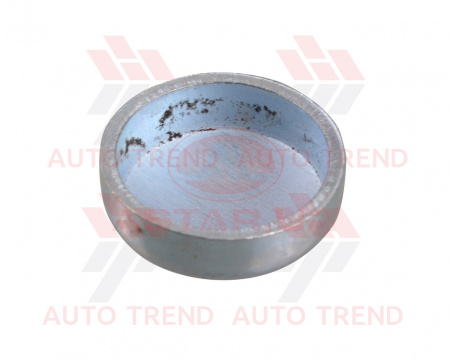 Заглушка отверстия в блоке цилиндров DAEWOO SENS , ЗАЗ 1102-03