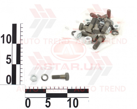 Болт М10х32 ступицы передней ВАЗ 2101, 2102, 2103, 2104, 2105, 2106, 2107 короткий (10 к-т) пакет