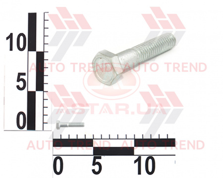 Болт М6х30 успокоителя цепи, насоса масл. ВАЗ