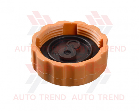 Крышка бачка расширительного DAEWOO/CHEVROLET LANOS/NEXIA/NUBIRA/AVEO/MATIZ/LACETTI п\э уп.