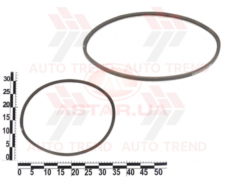 Ремень генератора ГАЗ гладкий (1 -8,5 х 8 -1018)