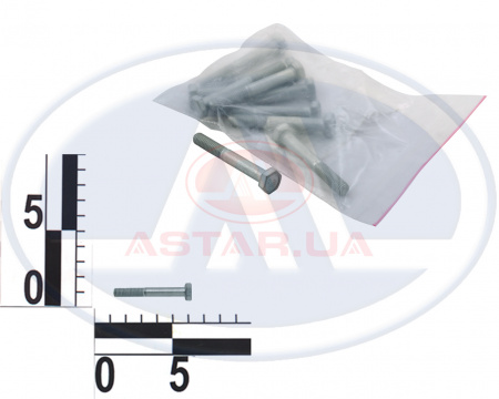 Болт М6х45 кожуха ремня ВАЗ 2101, 2102, 2103, 2104, 2105, 2106, 2107