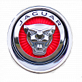 Запчасти JAGUAR