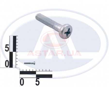 Винт М6х30 подлокотника ручки двери ВАЗ 2106 длинн. (пр-во Белебей)